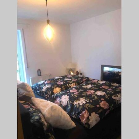 Sonnenoase Gufi Apartman Gundelfingen  Kültér fotó